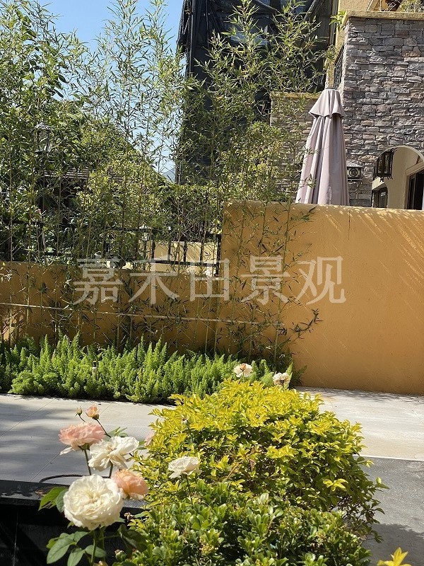 别墅花園的養護技巧包括哪些方面？