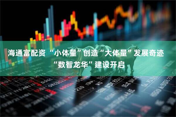 海通富配资 “小体量”创造“大体量”发展奇迹  “数智龙华”建设开启