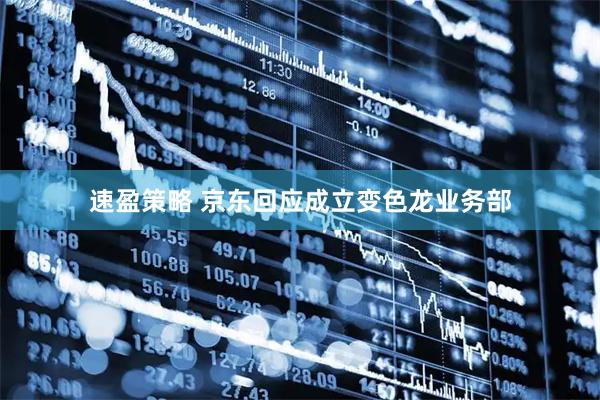 速盈策略 京东回应成立变色龙业务部