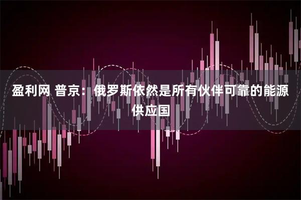盈利网 普京：俄罗斯依然是所有伙伴可靠的能源供应国